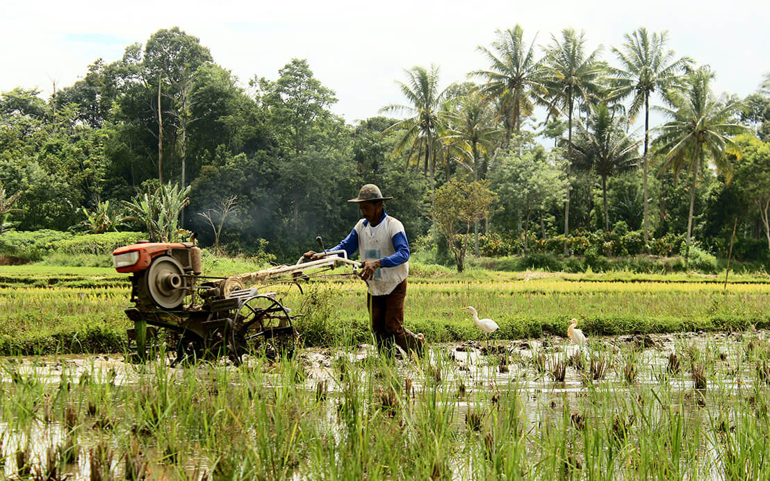 Drought in Taiwan Pits Chip Makers Against Farmers